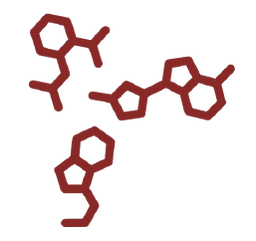 Secondary Metabolite Biosynthetic Cluster